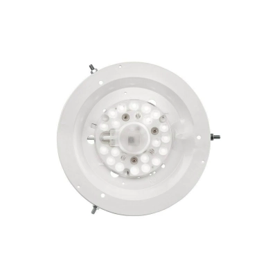 EVELINA plafon LED 12W drewniany 28 cm sosna 12W 1200lm 3000K