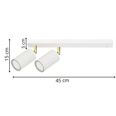 Larisa 2 lampa sufitowa 2xGU10 LPX0111/2