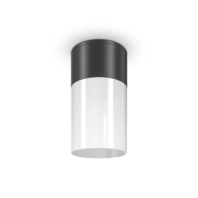 Willis lampa sufitowa IP54 1xE27 czarna O418CL-01B