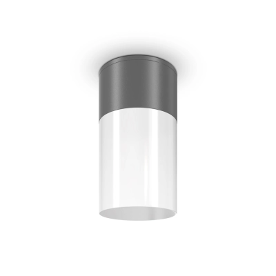 Willis lampa sufitowa IP54 1xE27 grafitowa O418CL-01GR