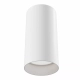 Focus lampa sufitowa 1xGU10 biała C010CL-01W