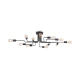 Gilbert lampa sufitowa 12xE27 czarna T532CL-12B