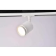 Unity Orlo track lighting LED 5W 200lm 3000K biały TR085-1-5W3K-W