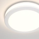 Phanton lampa sufitowa LED 12W 750lm 3000K biała DL2001-L12W