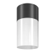 Willis lampa sufitowa IP54 1xE27 czarna O418CL-01B