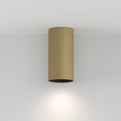 Artisan lampa sufitowa 1xGU10 C080CL-01-GU10-MG