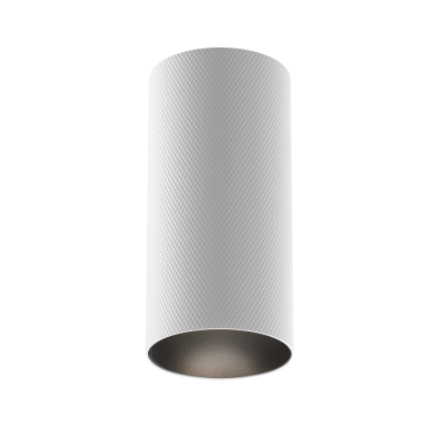 Artisan lampa sufitowa 1xGU10 C080CL-01-GU10-W Maytoni