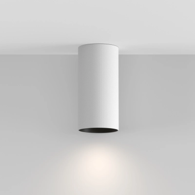 Artisan lampa sufitowa 1xGU10 C080CL-01-GU10-W