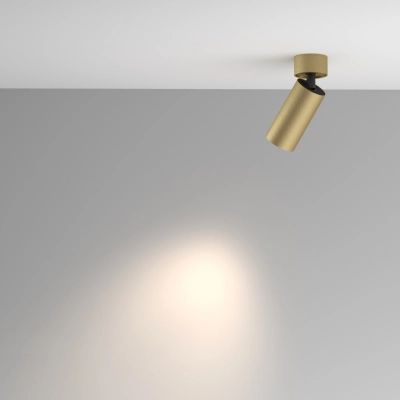 Artisan lampa sufitowa 1xGU10 C082CL-01-GU10-MG