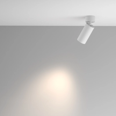 Artisan lampa sufitowa 1xGU10 C082CL-01-GU10-W