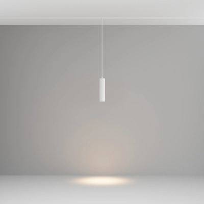 Focus LED lampa wisząca do szynoprzewodu magnetycznego Exility 12W 1040lm 3000K TR041-2-12W3K-W