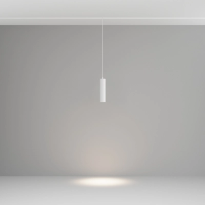 Focus LED lampa wisząca do szynoprzewodu magnetycznego Exility 12W 900lm 2700K-6000K TR041-4-12WTW-DD-W