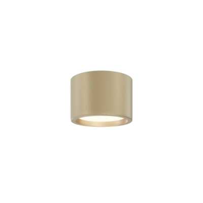 Hydra lampa sufitowa IP44 LED 10W 650lm 3000K C090CL-10W3K-MG Maytoni