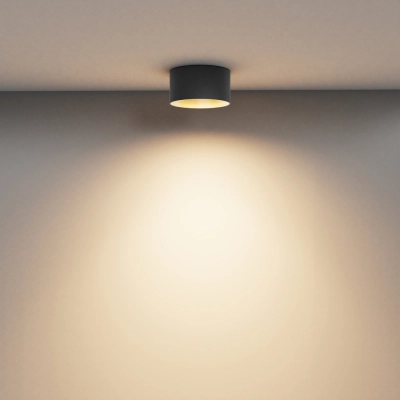 Vega lampa sufitowa LED 15W 1030lm 3000K C089CL-15W3K-BMG