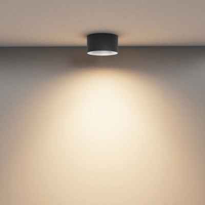 Vega lampa sufitowa LED 15W 1020lm 3000K C089CL-15W3K-B