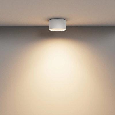 Vega lampa sufitowa LED 15W 1020lm 3000K C089CL-15W3K-W