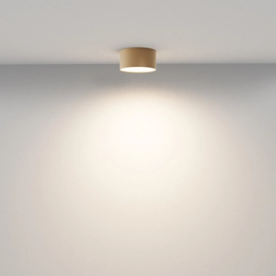 Zon lampa sufitowa LED 12W 600lm 3000K C032CL-12W3K-RD-MG