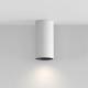 Artisan lampa sufitowa 1xGU10 C080CL-01-GU10-W