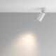 Artisan lampa sufitowa 1xGU10 C082CL-01-GU10-W
