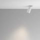 Artisan lampa wbudowana 1xGU10 C081CL-01-GU10-W