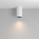 Calipso lampa sufitowa 1xGU10 C106CL-01-GU10-W