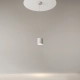 Polar lampa wisząca 1xGX53 P088PL-GX53-W