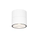 Spin lampa sufitowa IP54 LED 5W 480lm 3000K O310CL-L5W3K Maytoni