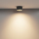 Vega lampa sufitowa LED 15W 1030lm 3000K C089CL-15W3K-BMG