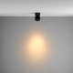 Yin lampa sufitowa LED 15W 1207lm 2700K-4000K C084CL-15W3K-D-B-DE