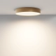 Zon lampa sufitowa LED 45W 2880lm 3000K C032CL-45W3K-RD-MG