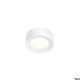 Fera 25 CL Dali lampa sufitowa LED 20W 1650lm 3000K biała 1002967
