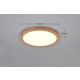 Camillus lampa sufitowa IP44 LED 22W 2700lm 3000K R62922435