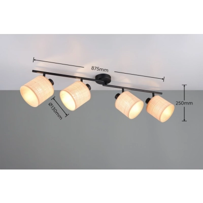 Aimee lampa sufitowa 4xE14 czarna R81854036