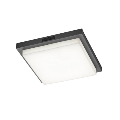 Bermejo lampa sufitowa LED 14W 1450lm 2300K, 3000K, 4000K antracyt 630369242 TRIO lighting