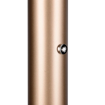 Celeste lampa podłogowa LED 15W 1750lm 3000K brązowa, czarna 454910165