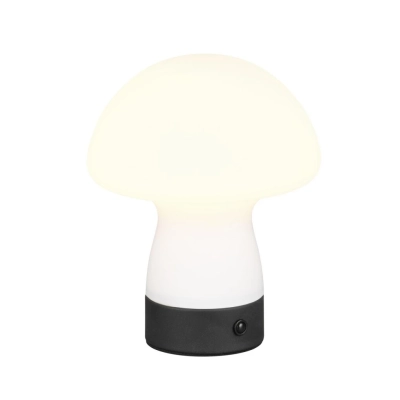 Dooley lampka stołowa LED 1,5W 140lm 3000K biała R54981131 TRIO lighting