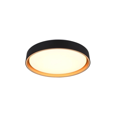 Felis lampa sufitowa LED 24W 2500lm 2700K-6500K czarna, złota R64391080 TRIO lighting