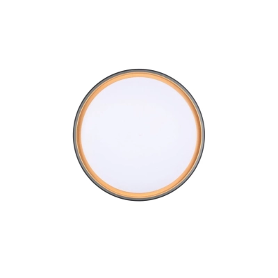 Felis lampa sufitowa LED 24W 2500lm 2700K-6500K czarna, złota R64391080