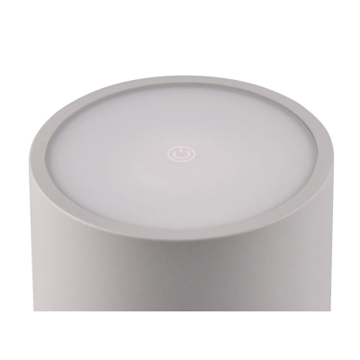 Fernandez lampa podłogowa LED 1W 130lm 2700K, 4000K, 6000K szara R54096177