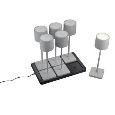 Fernandez lampa podłogowa LED 6x1W 6x130lm 2700K, 4000K, 6000K szara R54096677 TRIO lighting