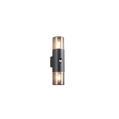 Hoosic kinkiet 2xE27 czarny 222260232 wbudowany czujnik ruchuTRIO lighting