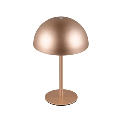 Munoz lampka stołowa LED 1,3W 120lm 3000K brązowa R54891165 TRIO lighting