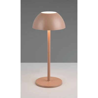 Ricardo lampa ogrodowa LED 1,7W 240lm 3000K brązowa R54106165 TRIO lighting
