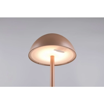 Ricardo lampa ogrodowa LED 1,7W 240lm 3000K brązowa R54106165