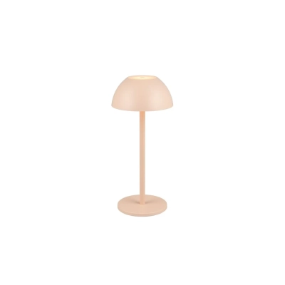 Ricardo lampa podłogowa LED 2W 240lm 3000K krenowa R54106166 TRIO lighting