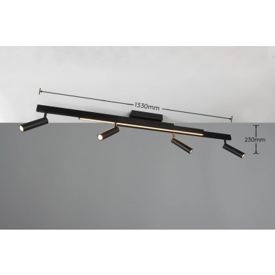 Zeno lampa sufitowa LED 12W, 4x5,5W 2200lm, 4x 650lm 2700K-6500K czarna 648310532