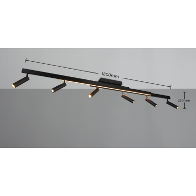 Zeno lampa sufitowa LED 18W, 6x5,5W 2200lm, 6x 650lm 2700K-6500K czarna 648310732