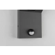 Adour kinkiet LED 10W 1000lm 2300K, 3000K, 4000K antracyt 245569142 wbudowany czujnik ruchu