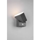 Avon kinkiet LED 7W 800lm 3000K antracyt 270669142
