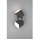 Avon kinkiet LED 2x7W 2x800lm 3000K antracyt 270669242